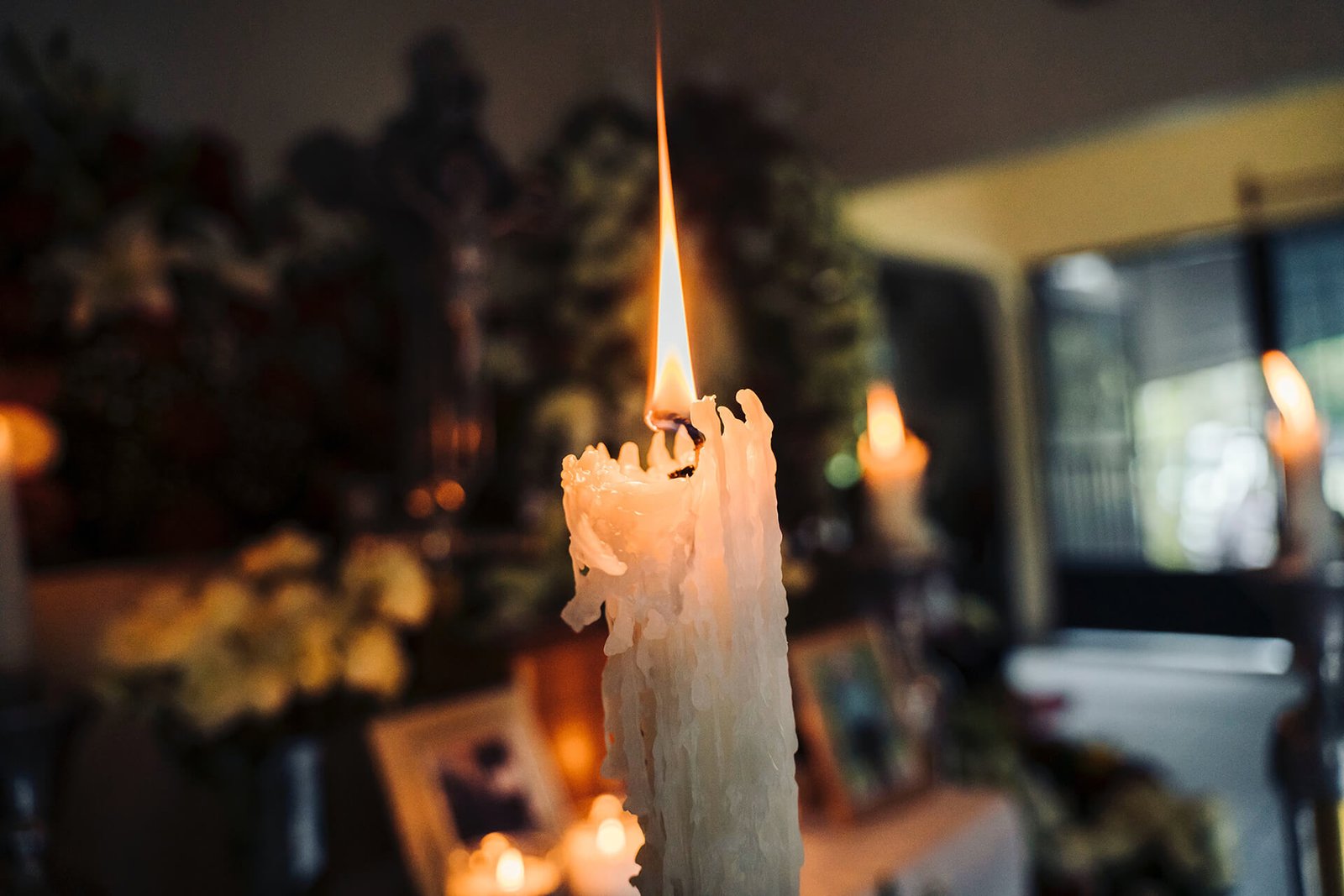 Find out more about celebrations of life