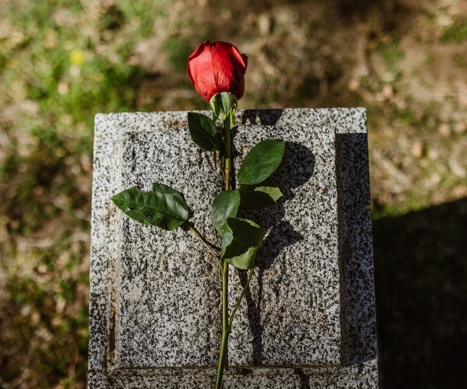 300+ messages for expressing condolences